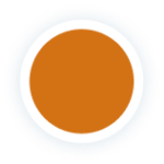Icono gráfico de un círculo color naranja con borde blanco sobre un fondo transparente Icono gráfico de un círculo color naranja con borde blanco sobre un fondo transparente